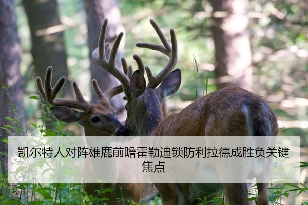 凯尔特人对阵雄鹿前瞻霍勒迪锁防利拉德成胜负关键焦点